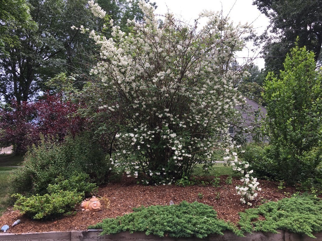 25 Patten Road Westford, MA 01886 - Photo 30 of 35 Gallery Image 30