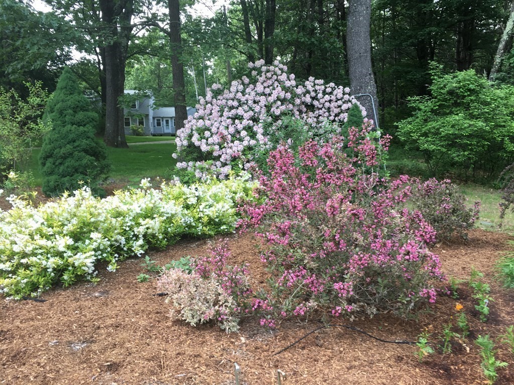 25 Patten Road Westford, MA 01886 - Photo 32 of 35 Gallery Image 32