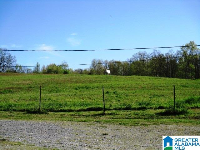 6971 Highway 24 Oneonta, AL 35121 - Photo 44 of 45