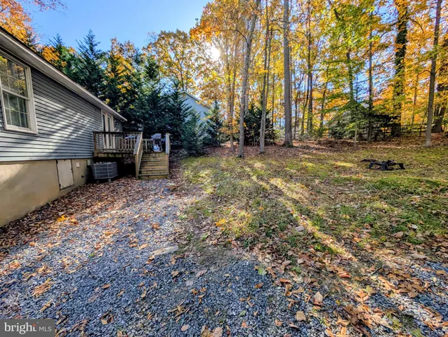 a view of a backyard with large trees