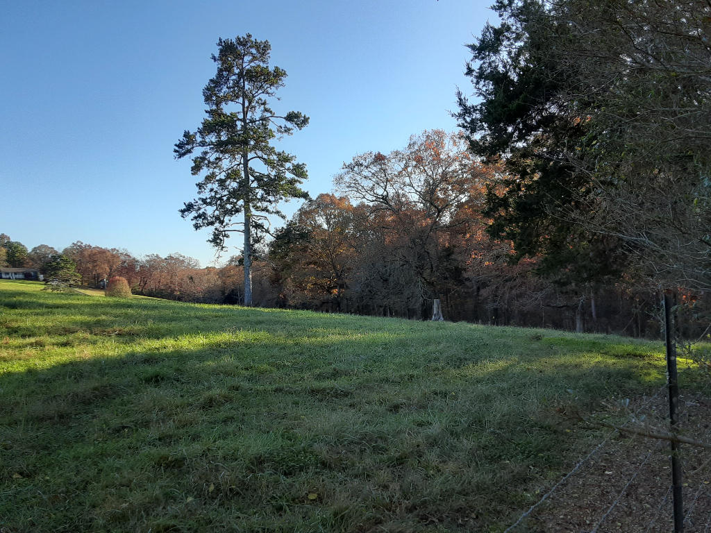 2576 White Flats Road Dayton, TN 37321 - Photo 5 of 37 04
