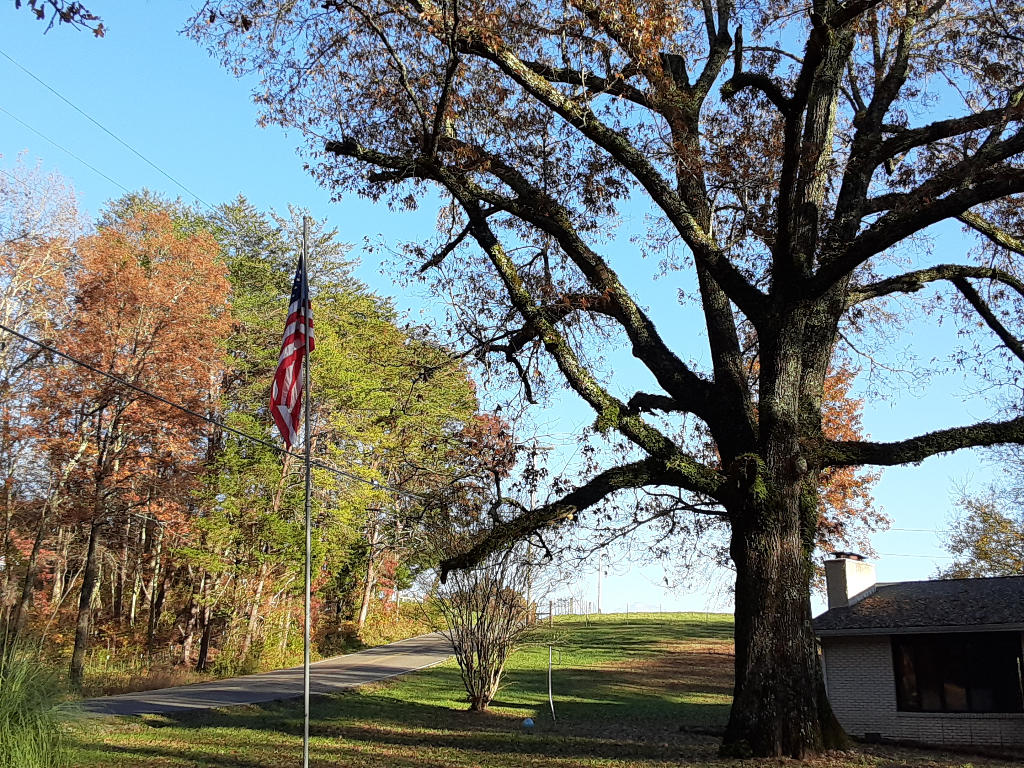 2576 White Flats Road Dayton, TN 37321 - Photo 9 of 37 08