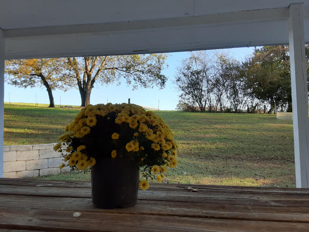 2576 White Flats Road Dayton, TN 37321 - Photo 10 of 37 09