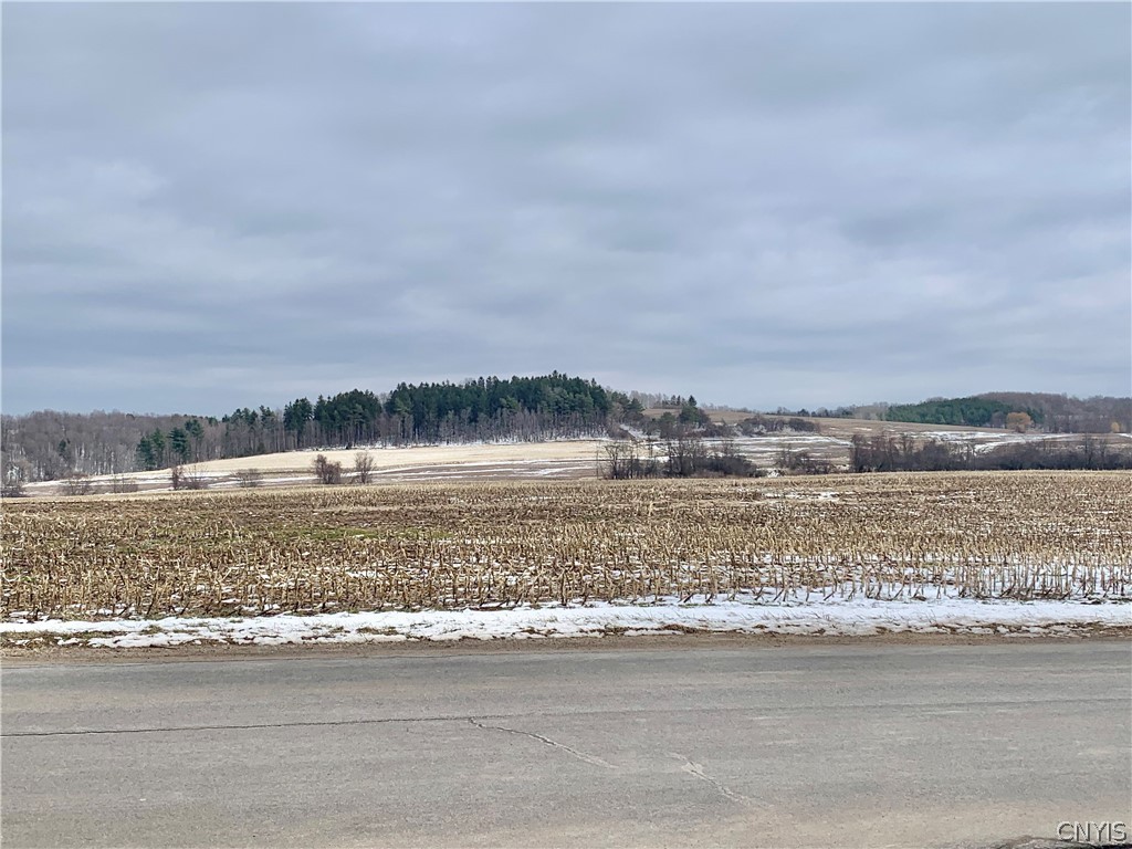 3403 Burke Road Vernon, NY 13477 - Photo 41 of 42 Did I mention the view from the front porch!