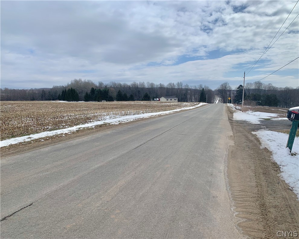 3403 Burke Road Vernon, NY 13477 - Photo 42 of 42 Rural road scene.