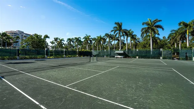a view of a garden with a building in the background