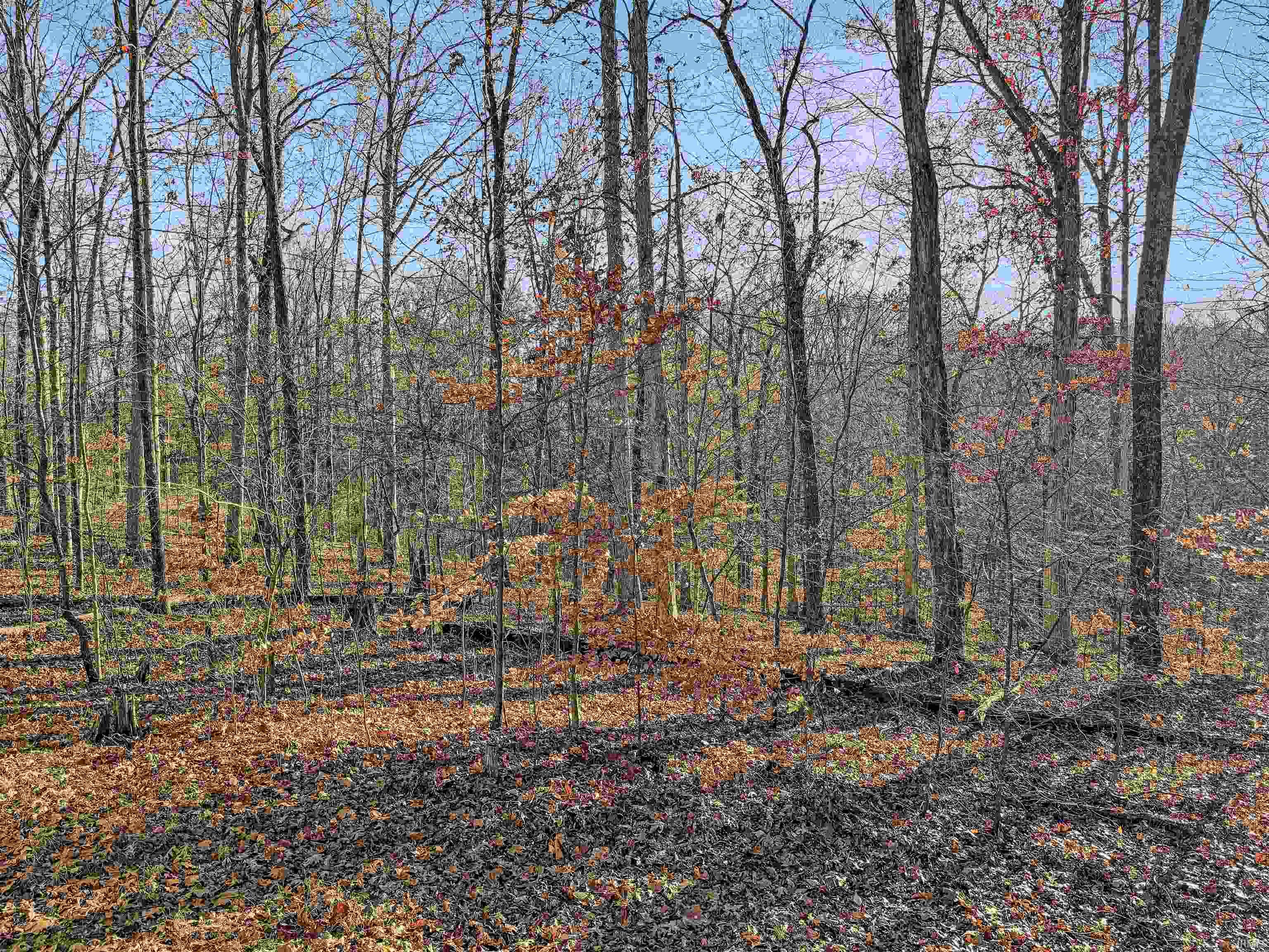 4355 East Streacher Road Bloomington, IN 47408 - Photo 14 of 15