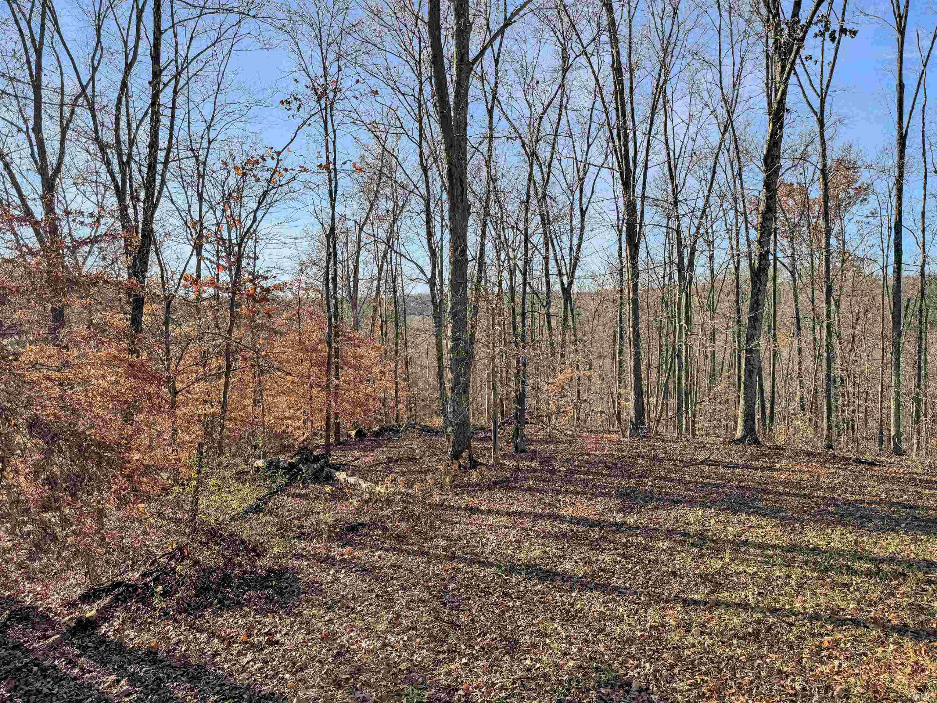 4355 East Streacher Road Bloomington, IN 47408 - Photo 3 of 15