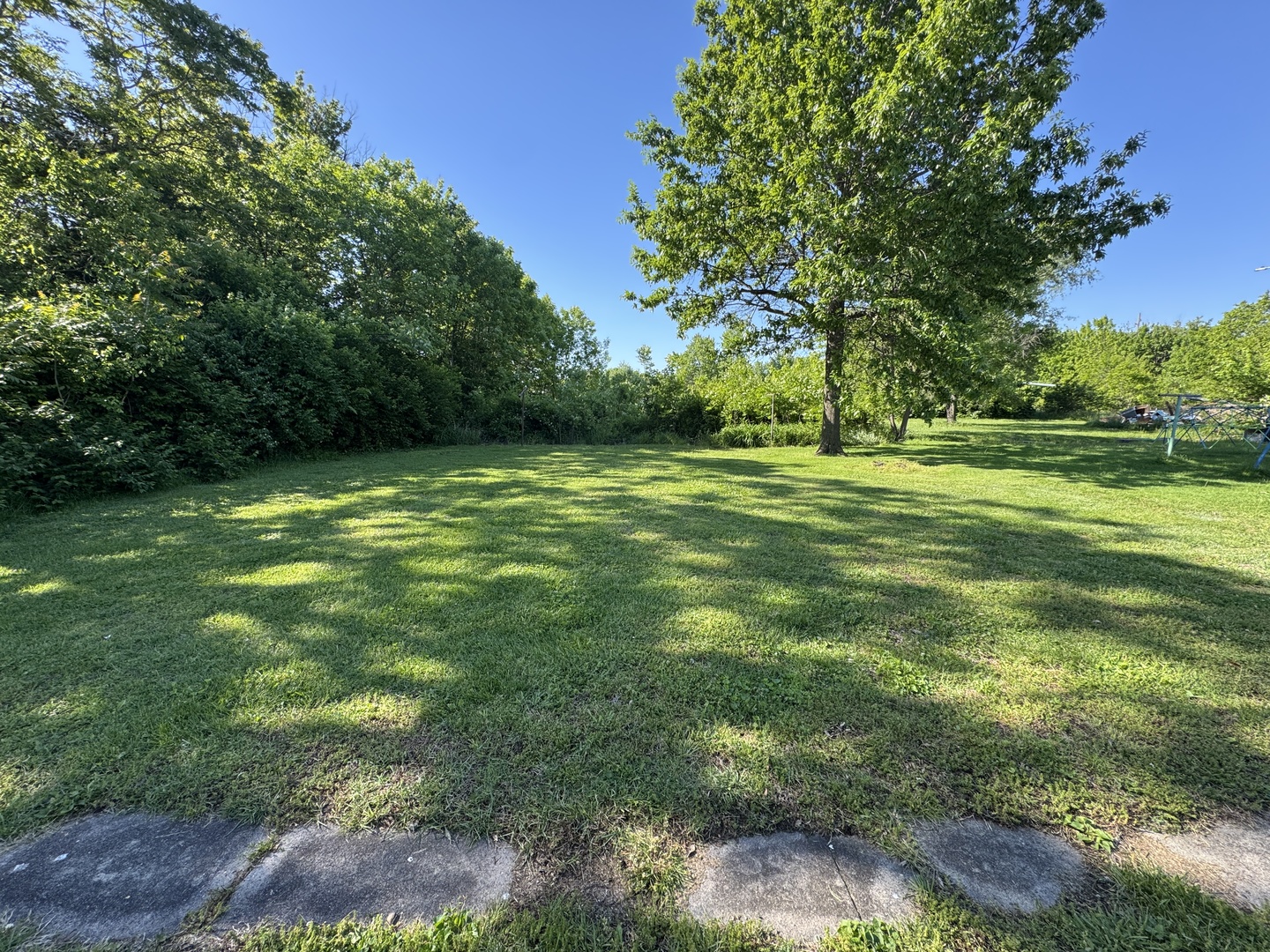 219 West 7th Street Flora, IL 62839 - Photo 28 of 30
