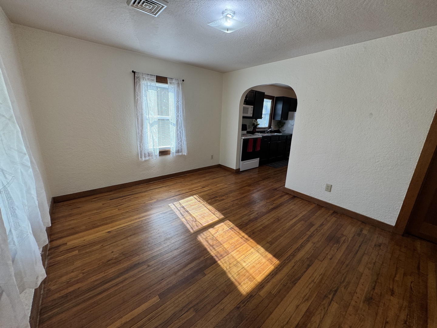 219 West 7th Street Flora, IL 62839 - Photo 3 of 30