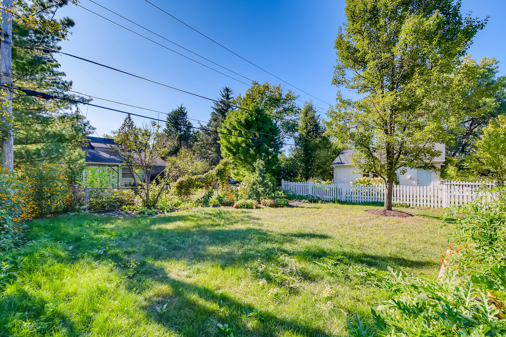 338 Northwood Road Riverside, IL 60546 - Photo 25 of 30 a backyard of a house with plants and large trees