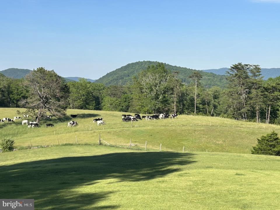 14636 Turner Road Fulks Run, VA 22830 - Photo 81 of 87 Serene Pastures Under Blue Skies