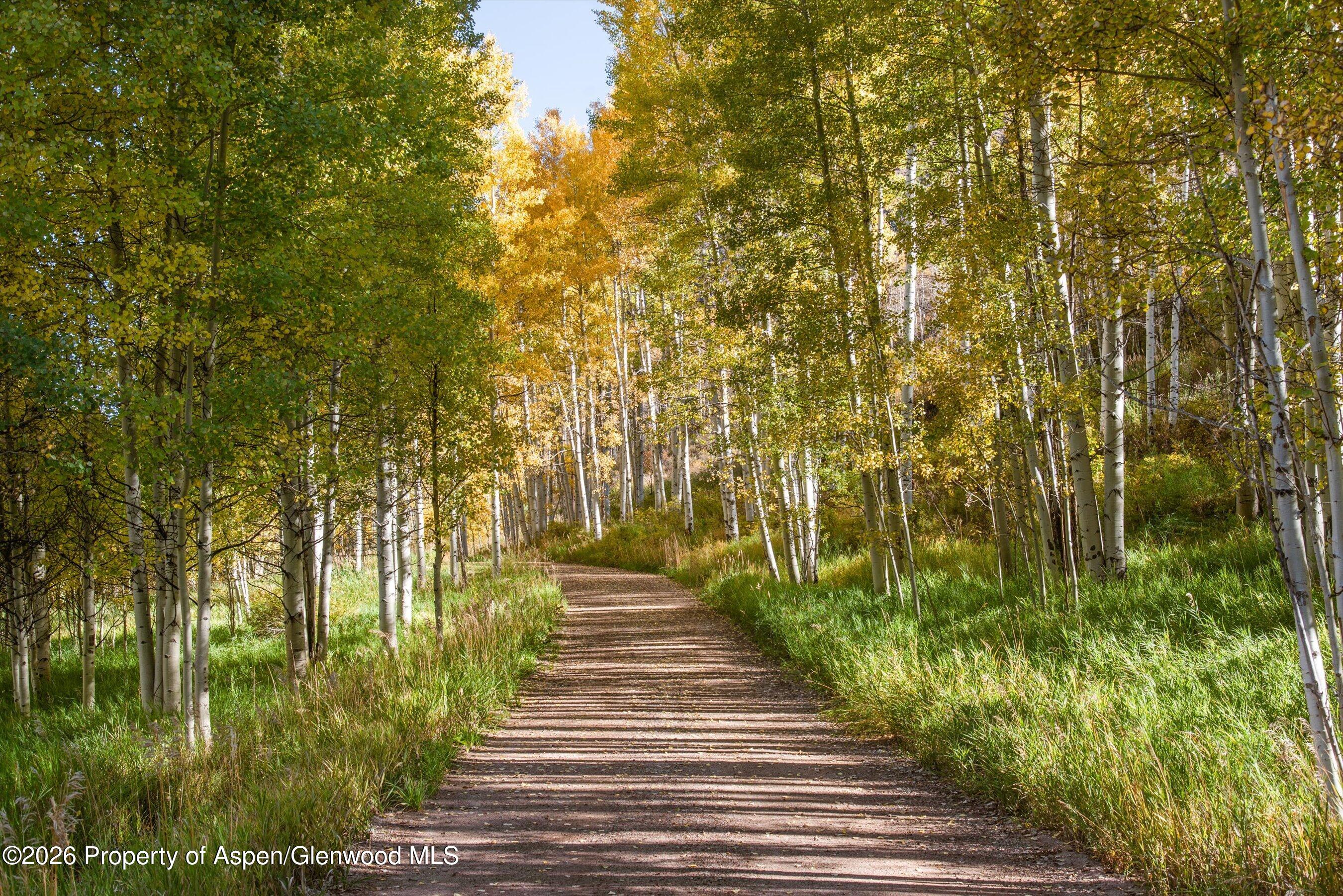 5387 Castle Creek Road Aspen, CO 81612 - Photo 20 of 25 a view of a garden