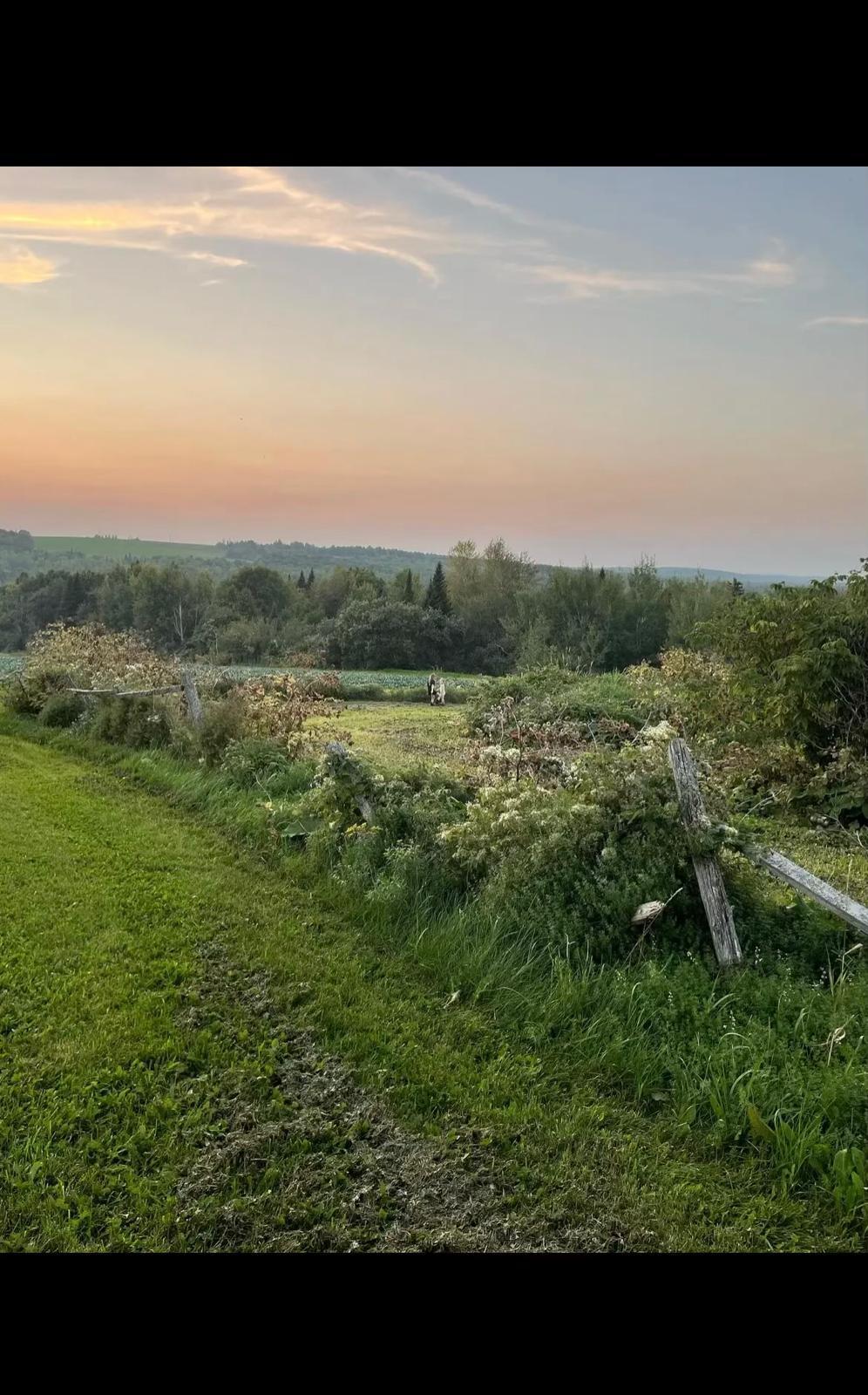 M8-l16 Grendell Road Mapleton, ME 04757 - Photo 1 of 9 Land