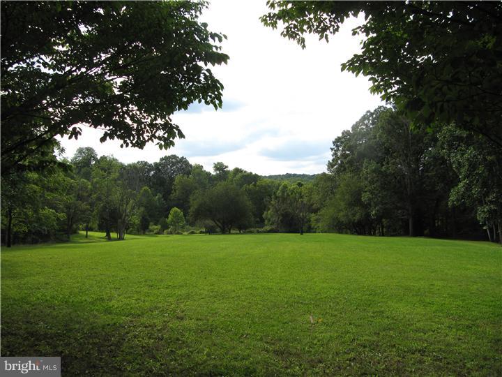 110 Hendricks Road Perkiomenville, PA 18074 - Photo 6 of 25 Side Yard