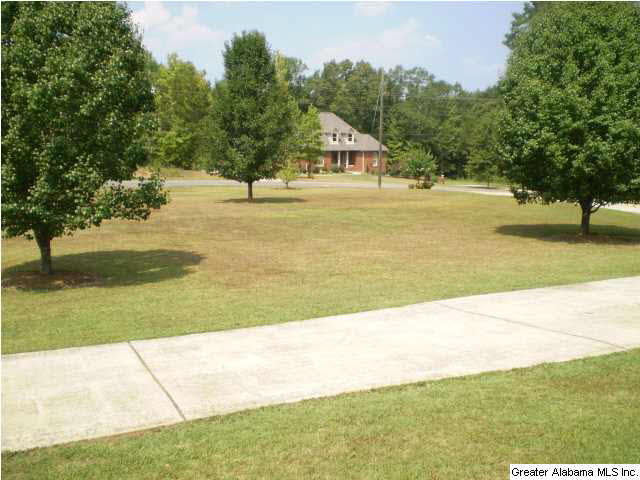 217 Beaver Ridge Circle Ashville, AL 35953 - Photo 3 of 32