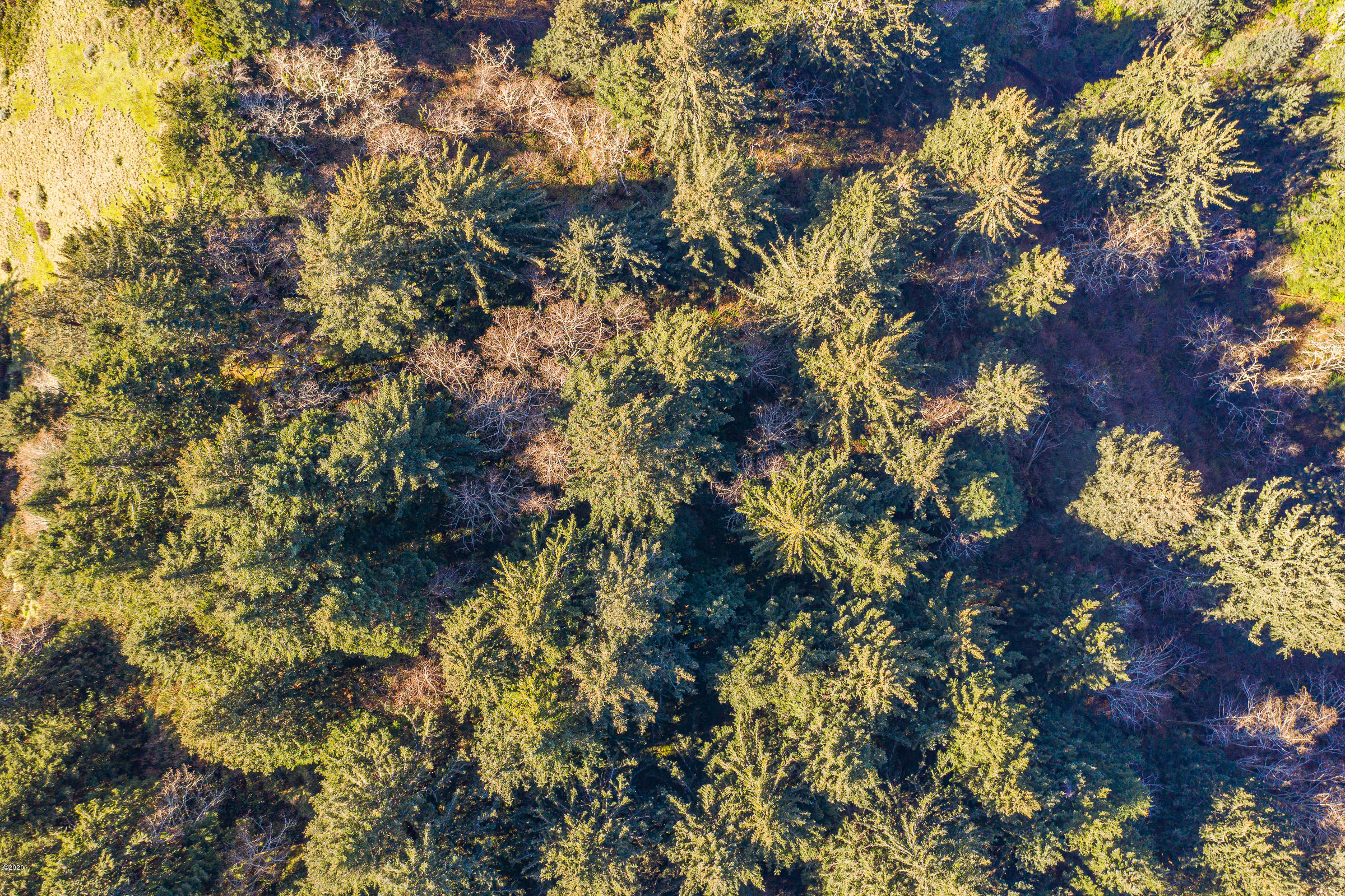 100 East Windy Way Yachats, OR 97498 - Photo 4 of 6 Direct Overhead
