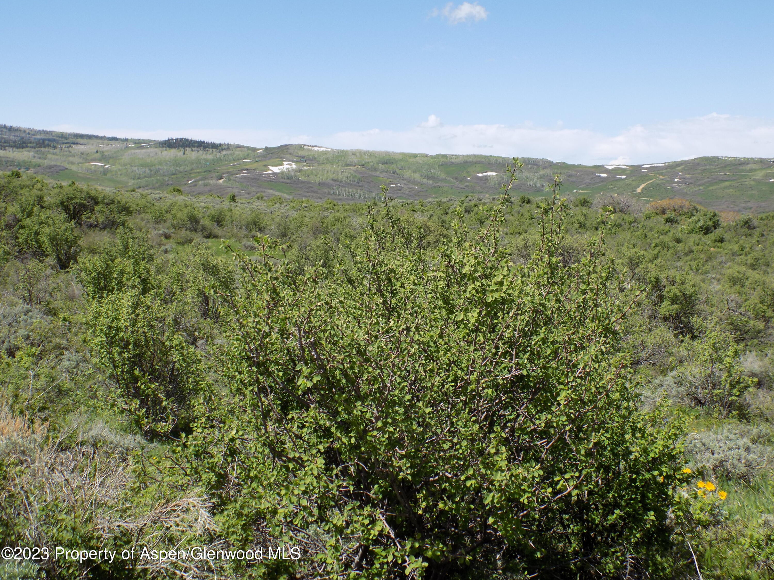 1832 Eagle Loop Craig, CO 81625 - Photo 6 of 15 DSCN3698