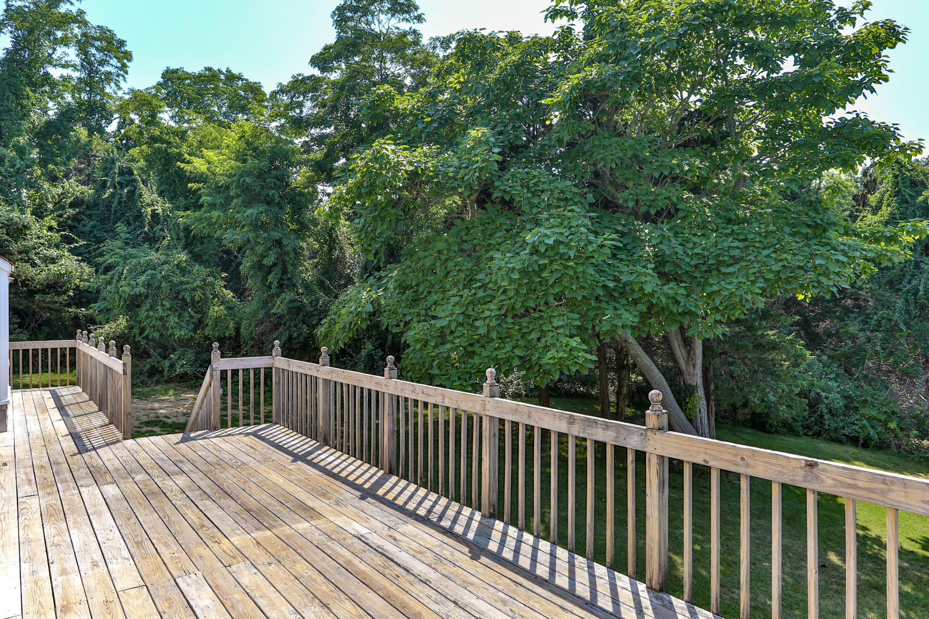 225 Goody Hallet Drive Eastham, MA 02642 - Photo 34 of 45 a view of backyard with deck and trees