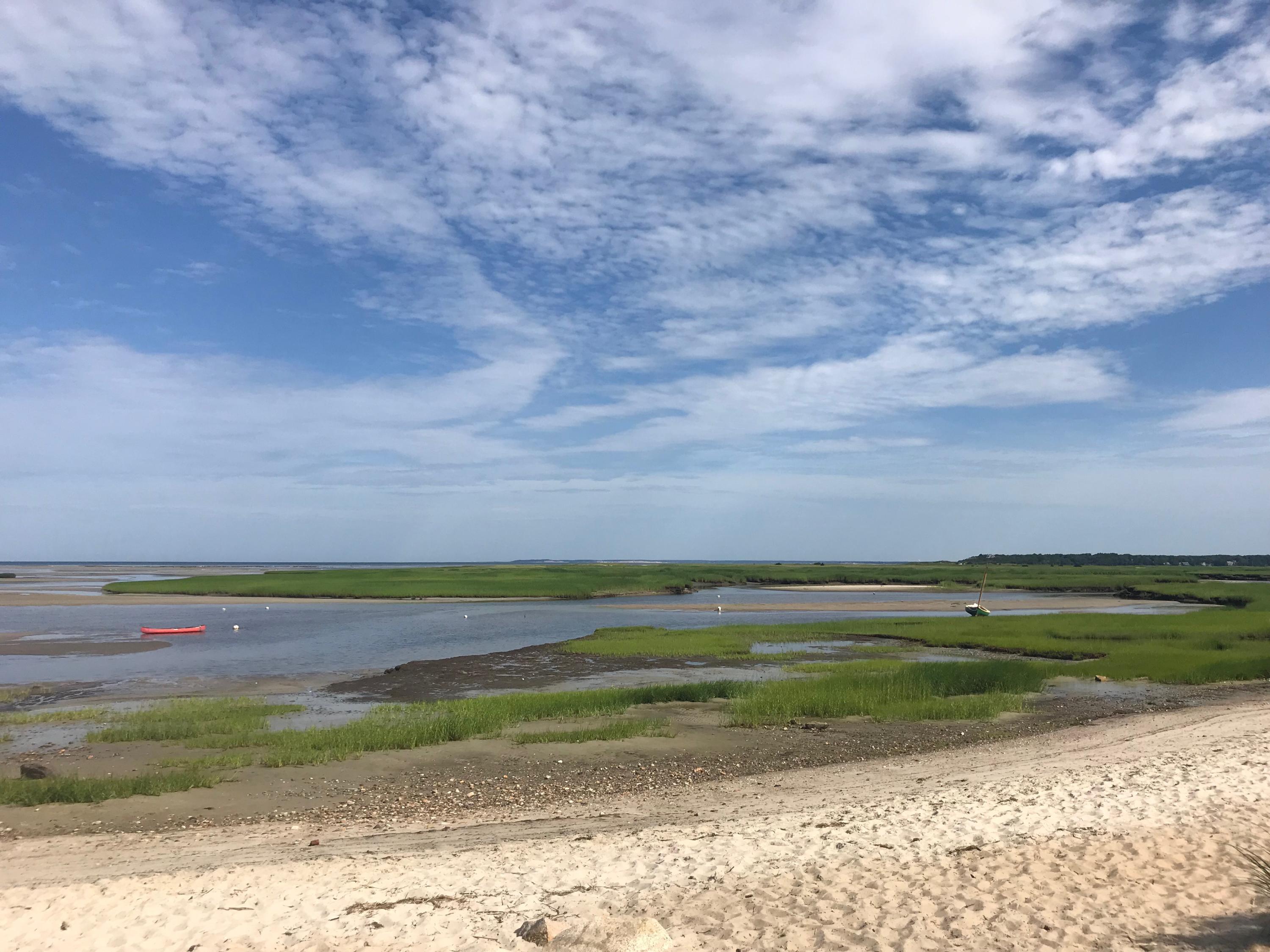 225 Goody Hallet Drive Eastham, MA 02642 - Photo 43 of 45 a view of a big yard with an ocean beach