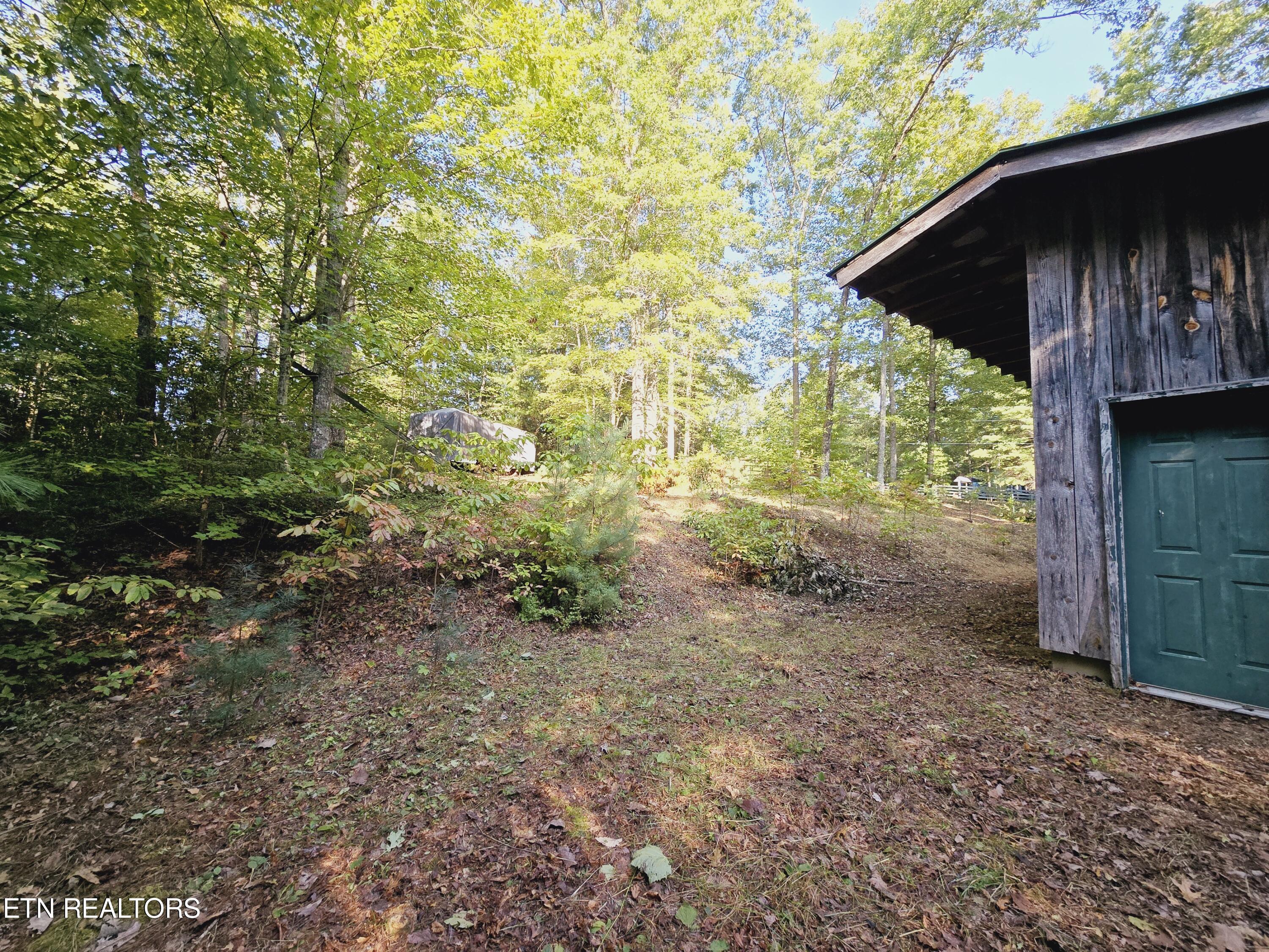 Bear Hollow Trl Road Oneida, TN 37841 - Photo 13 of 29 20240910_093250