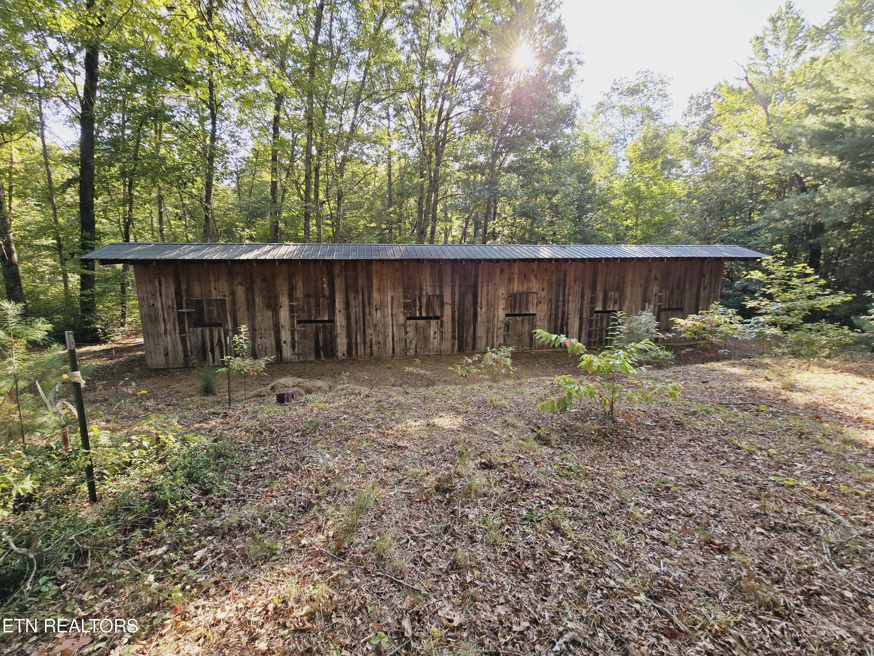 Bear Hollow Trl Road Oneida, TN 37841 - Photo 18 of 29 20240910_093040