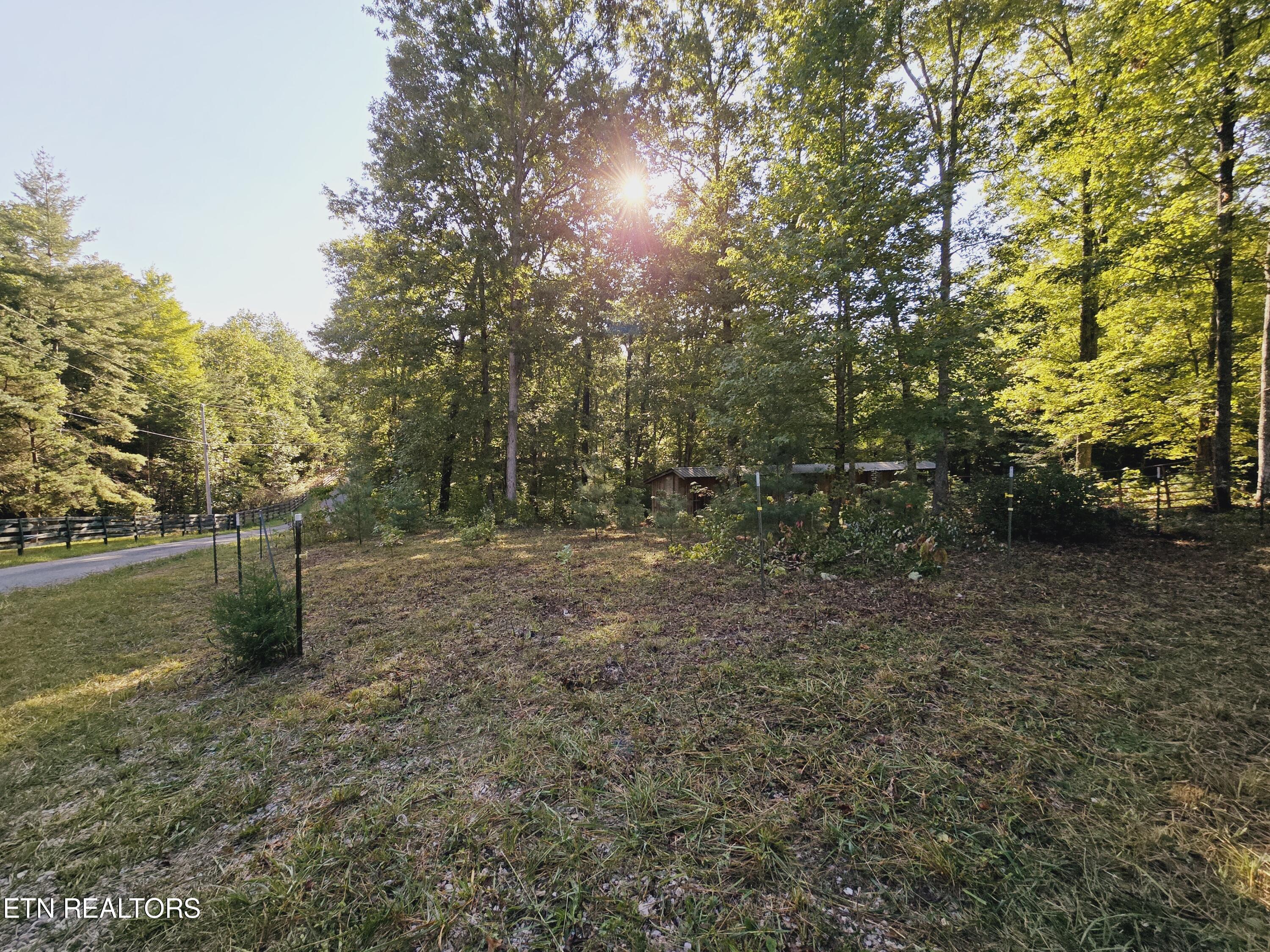 Bear Hollow Trl Road Oneida, TN 37841 - Photo 19 of 29 20240910_092952