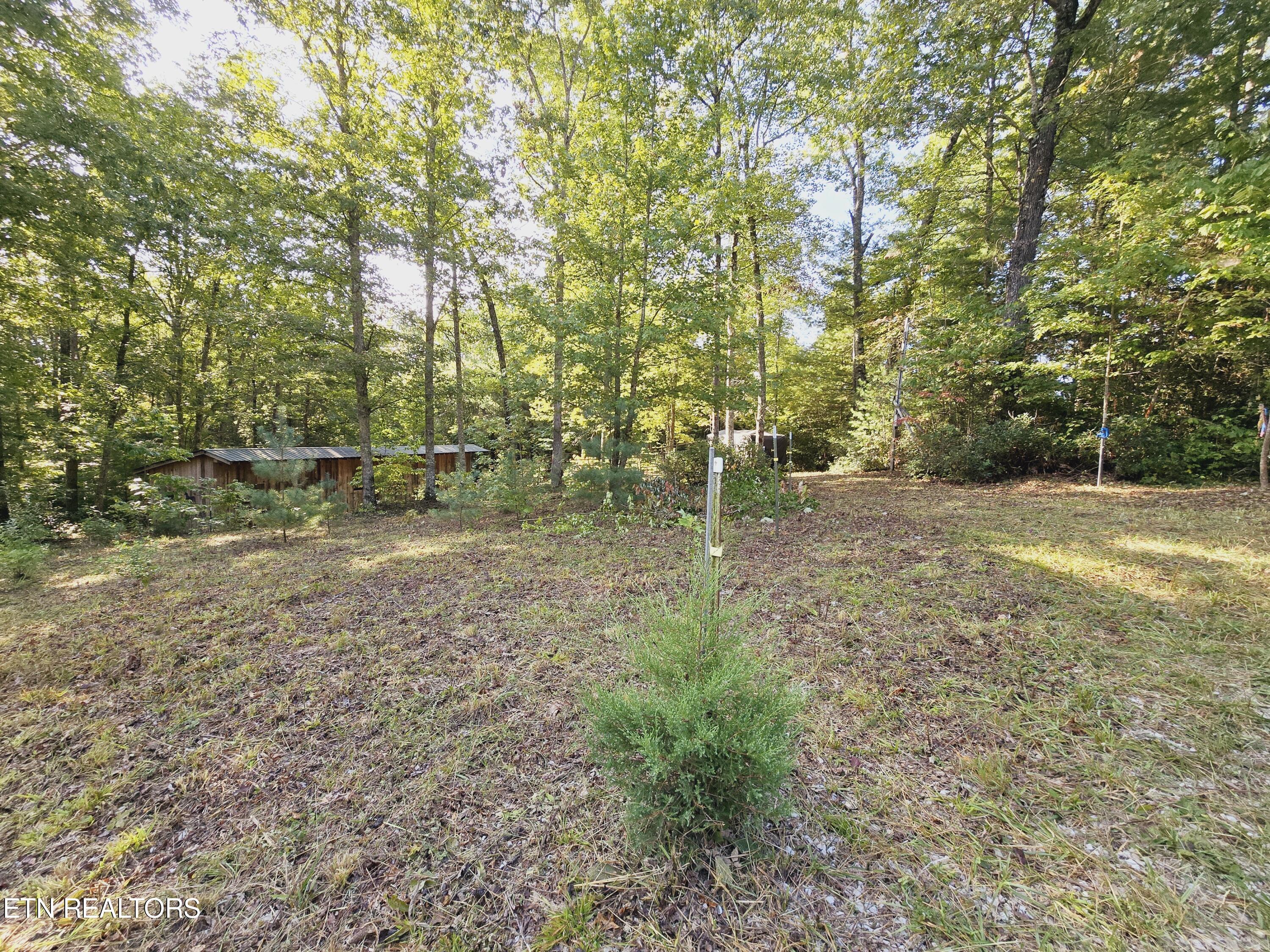 Bear Hollow Trl Road Oneida, TN 37841 - Photo 2 of 29 20240910_093625