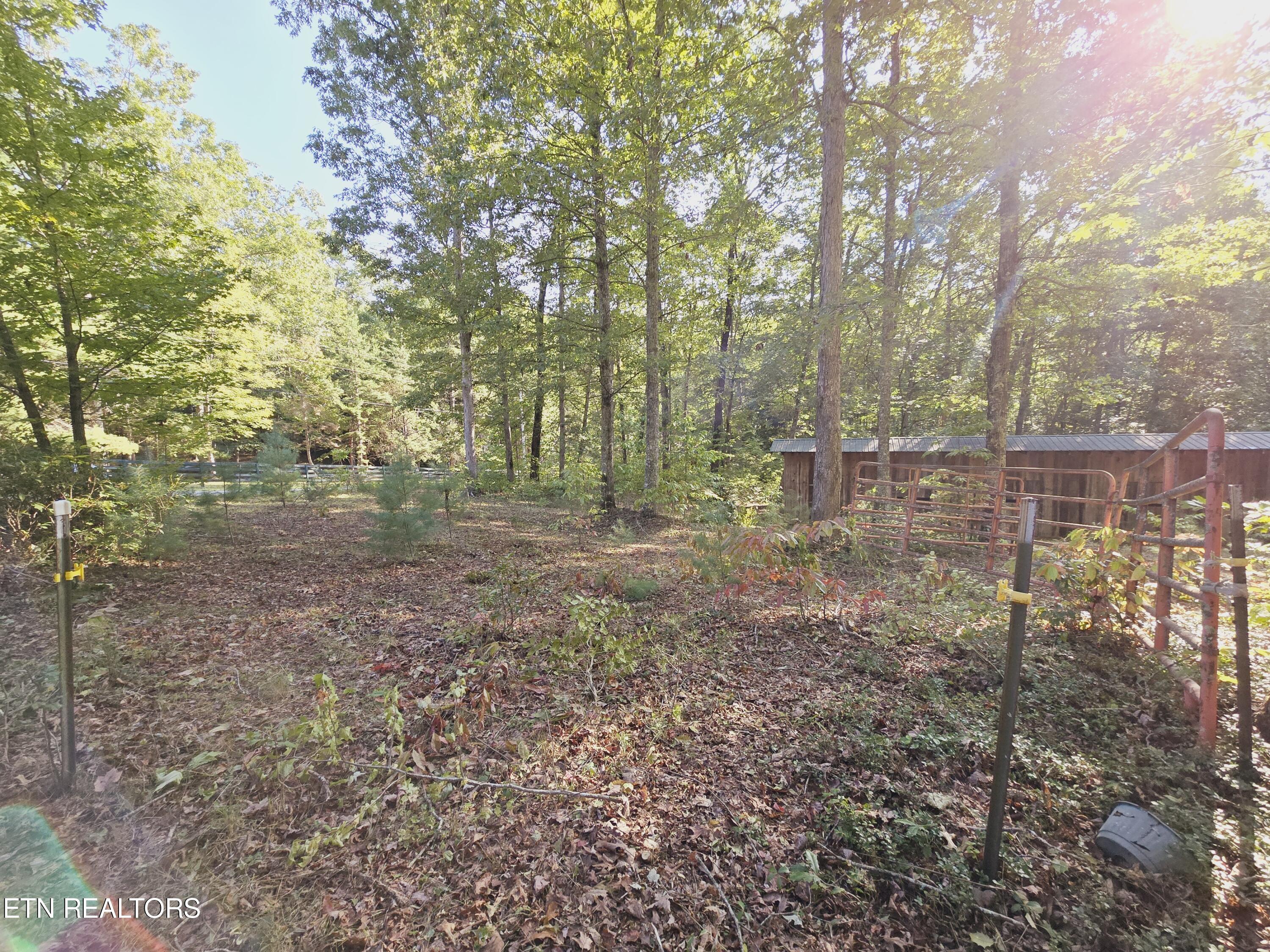 Bear Hollow Trl Road Oneida, TN 37841 - Photo 21 of 29 20240910_093448