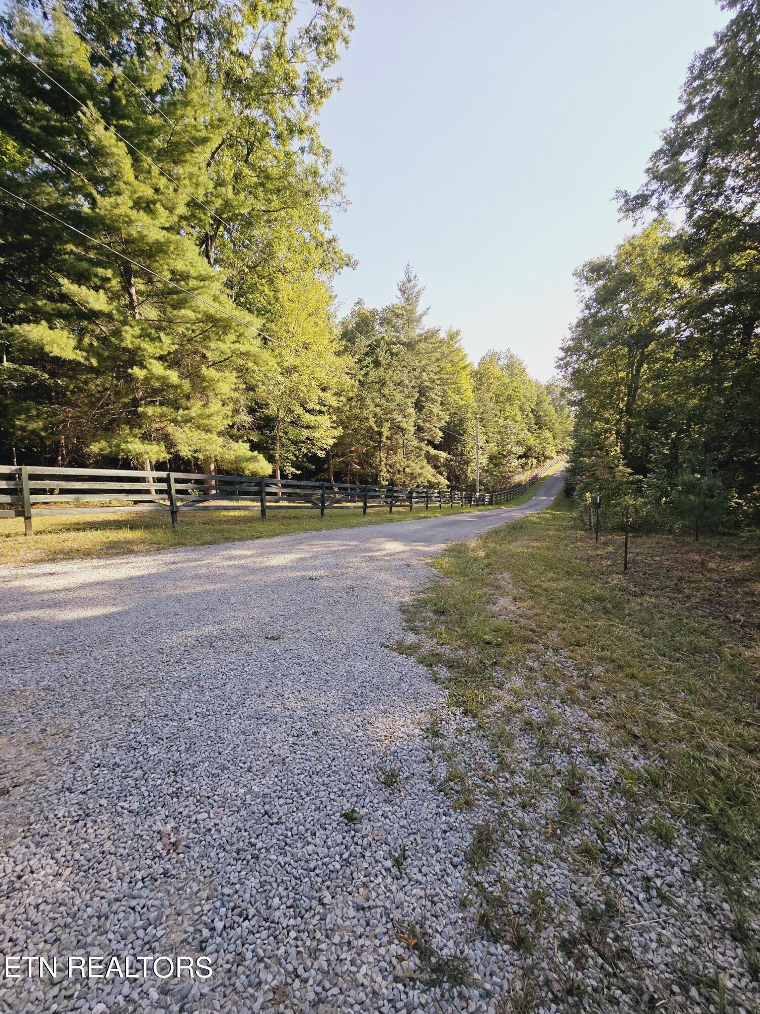 Bear Hollow Trl Road Oneida, TN 37841 - Photo 22 of 29 20240910_093614