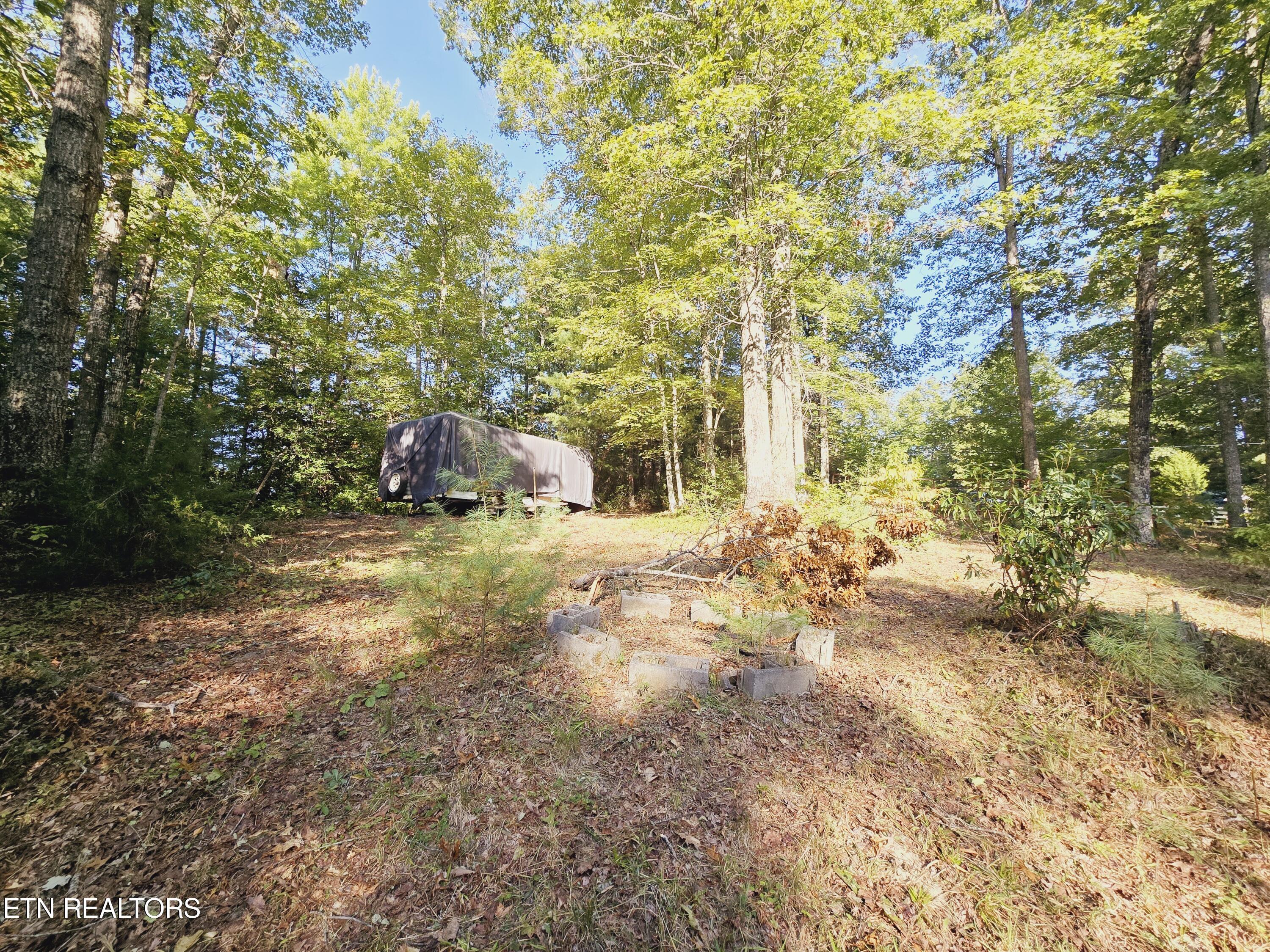 Bear Hollow Trl Road Oneida, TN 37841 - Photo 3 of 29 20240910_093353