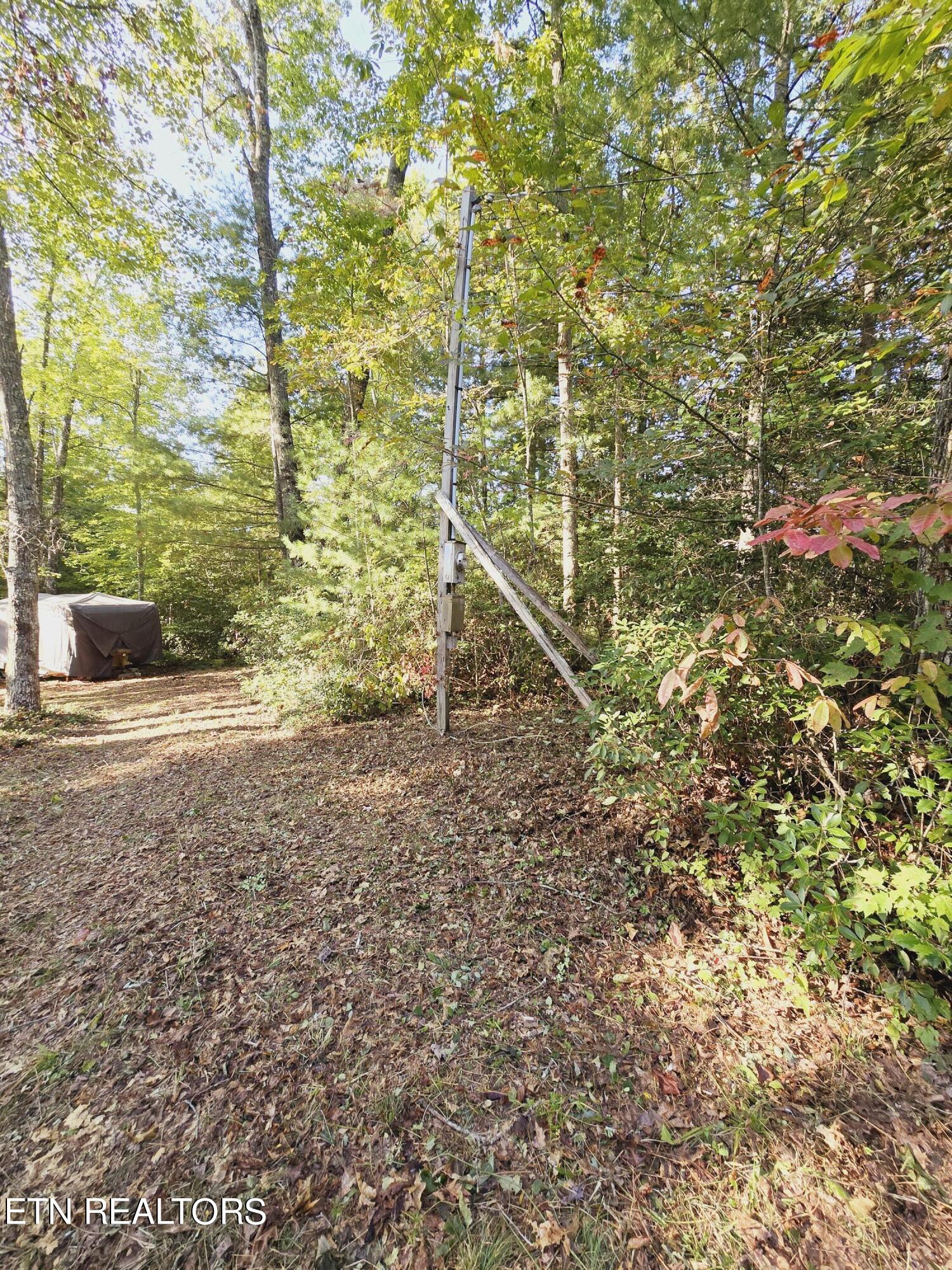 Bear Hollow Trl Road Oneida, TN 37841 - Photo 4 of 29 20240910_093006