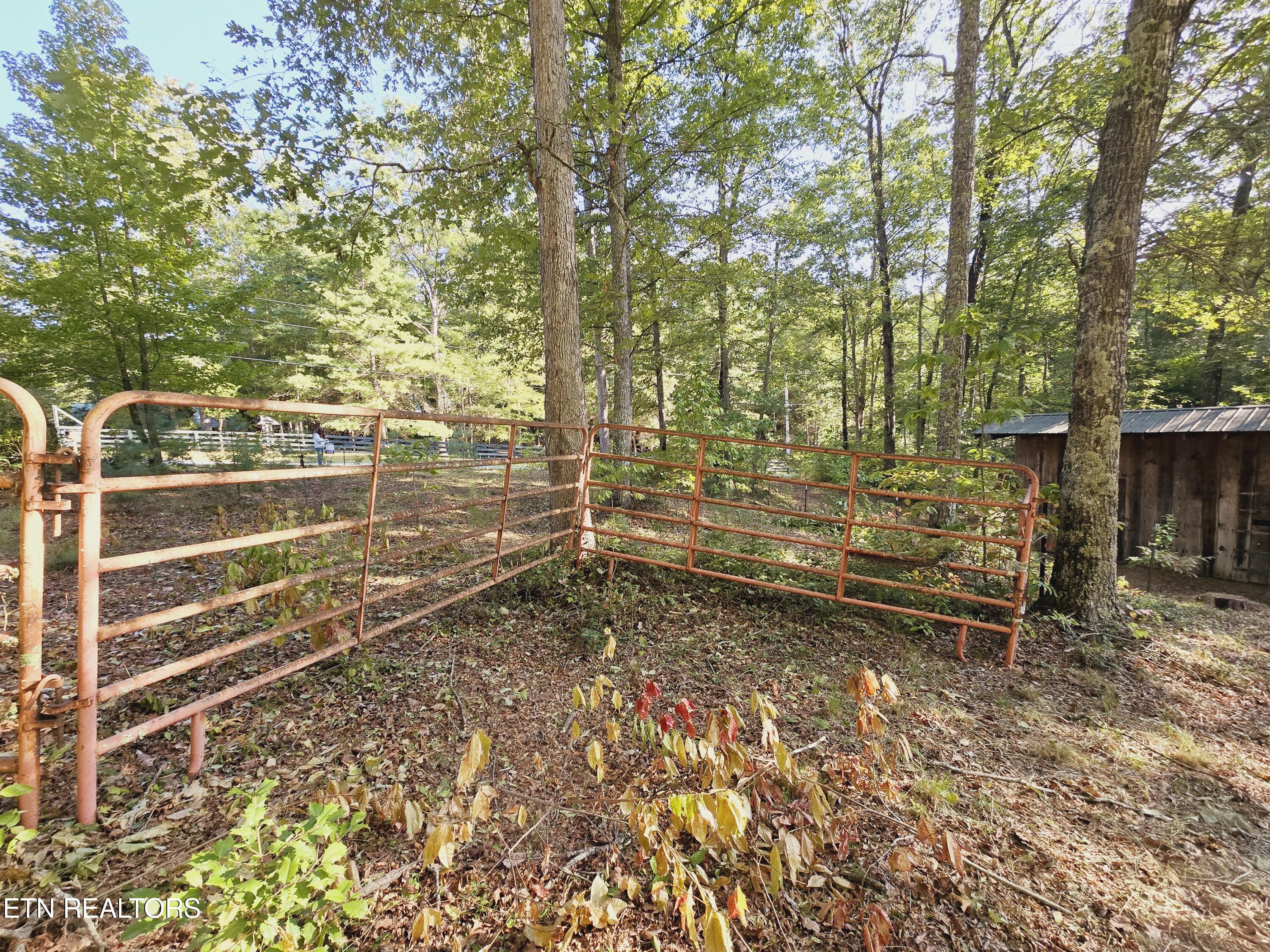 Bear Hollow Trl Road Oneida, TN 37841 - Photo 5 of 29 20240910_093422