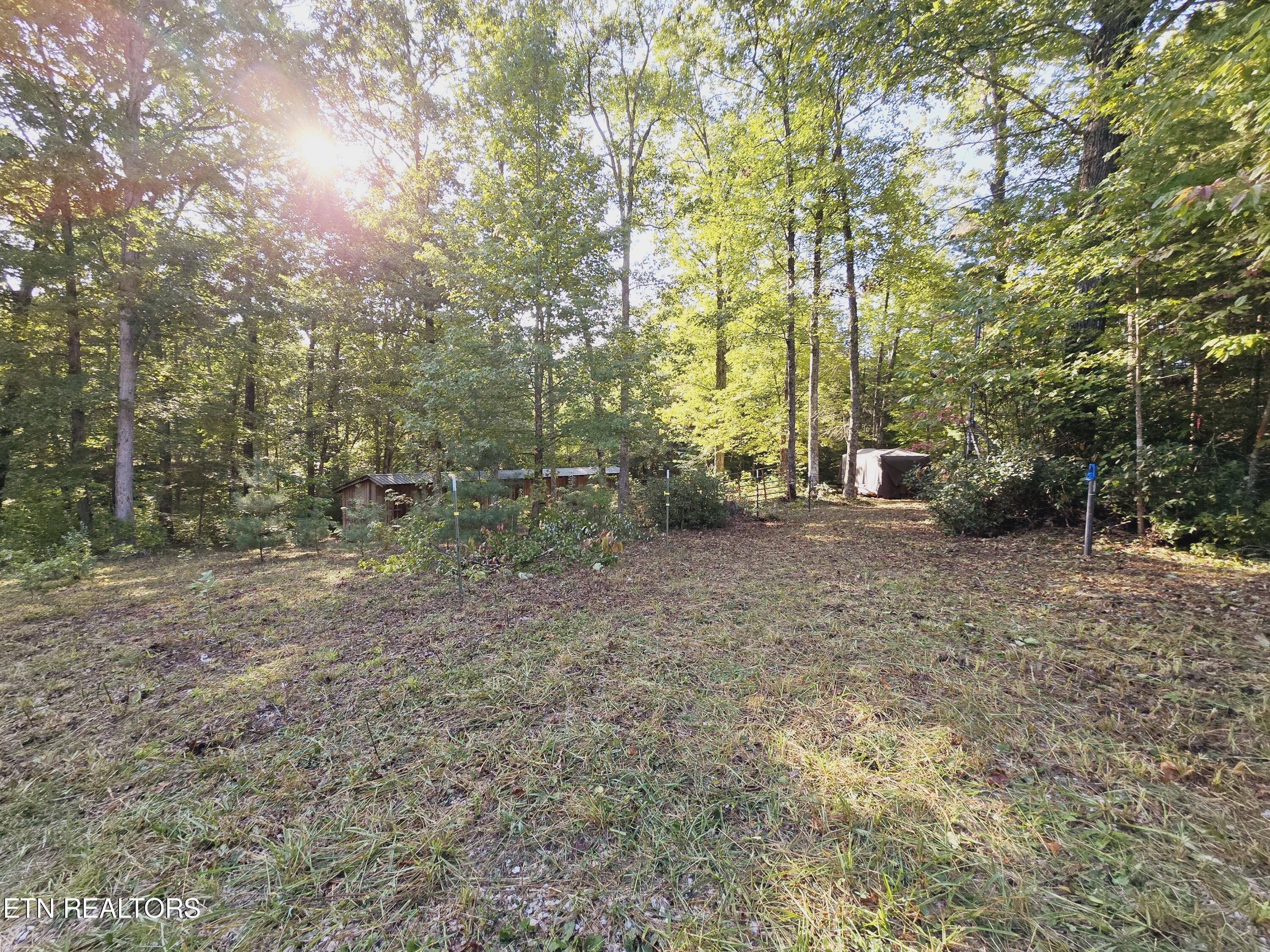 Bear Hollow Trl Road Oneida, TN 37841 - Photo 7 of 29 20240910_092950