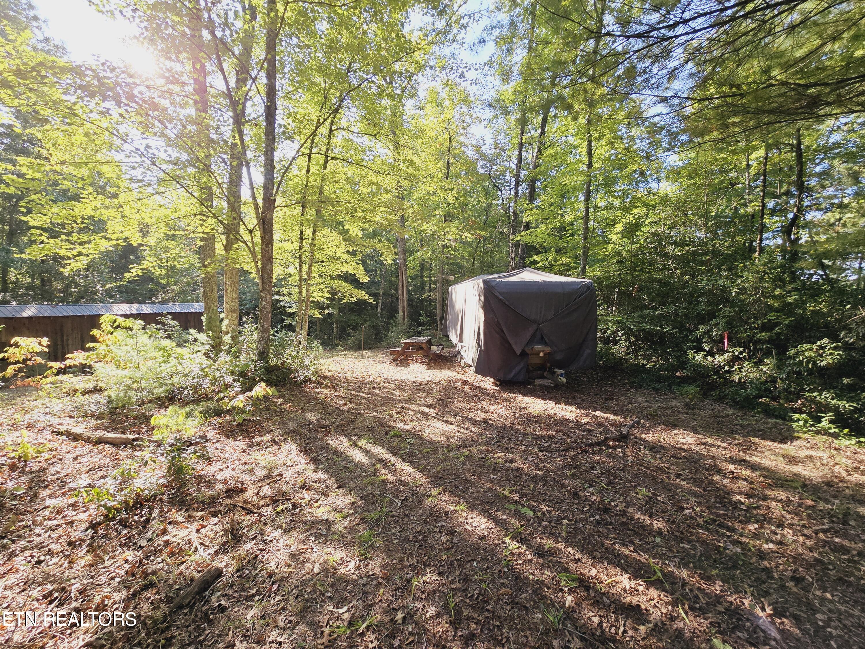 Bear Hollow Trl Road Oneida, TN 37841 - Photo 8 of 29 20240910_093024