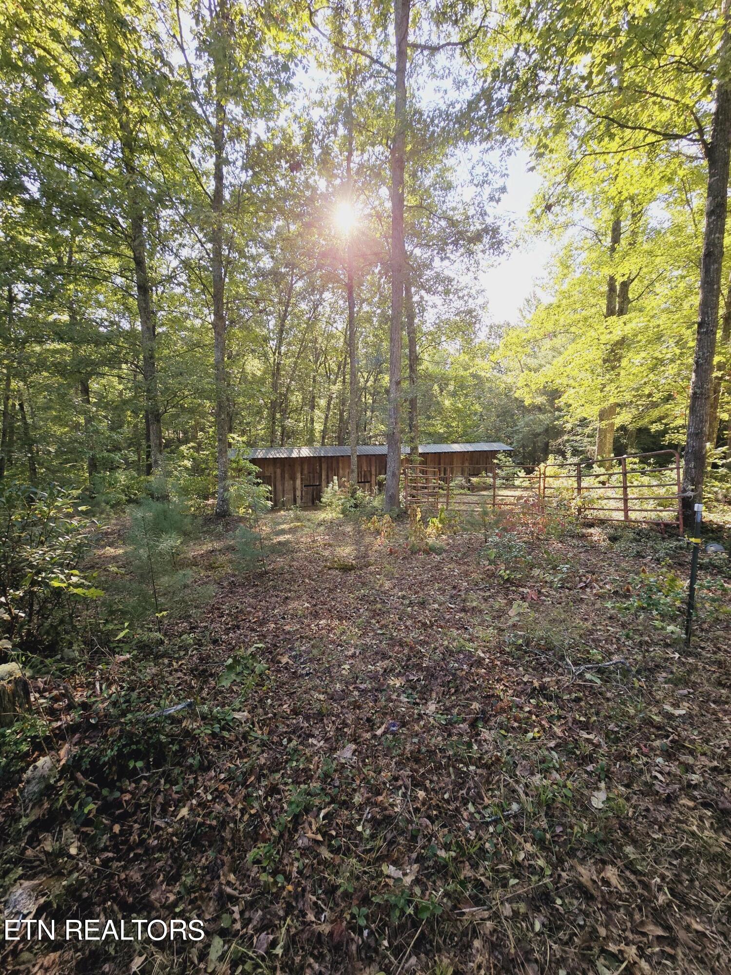 Bear Hollow Trl Road Oneida, TN 37841 - Photo 9 of 29 20240910_093009