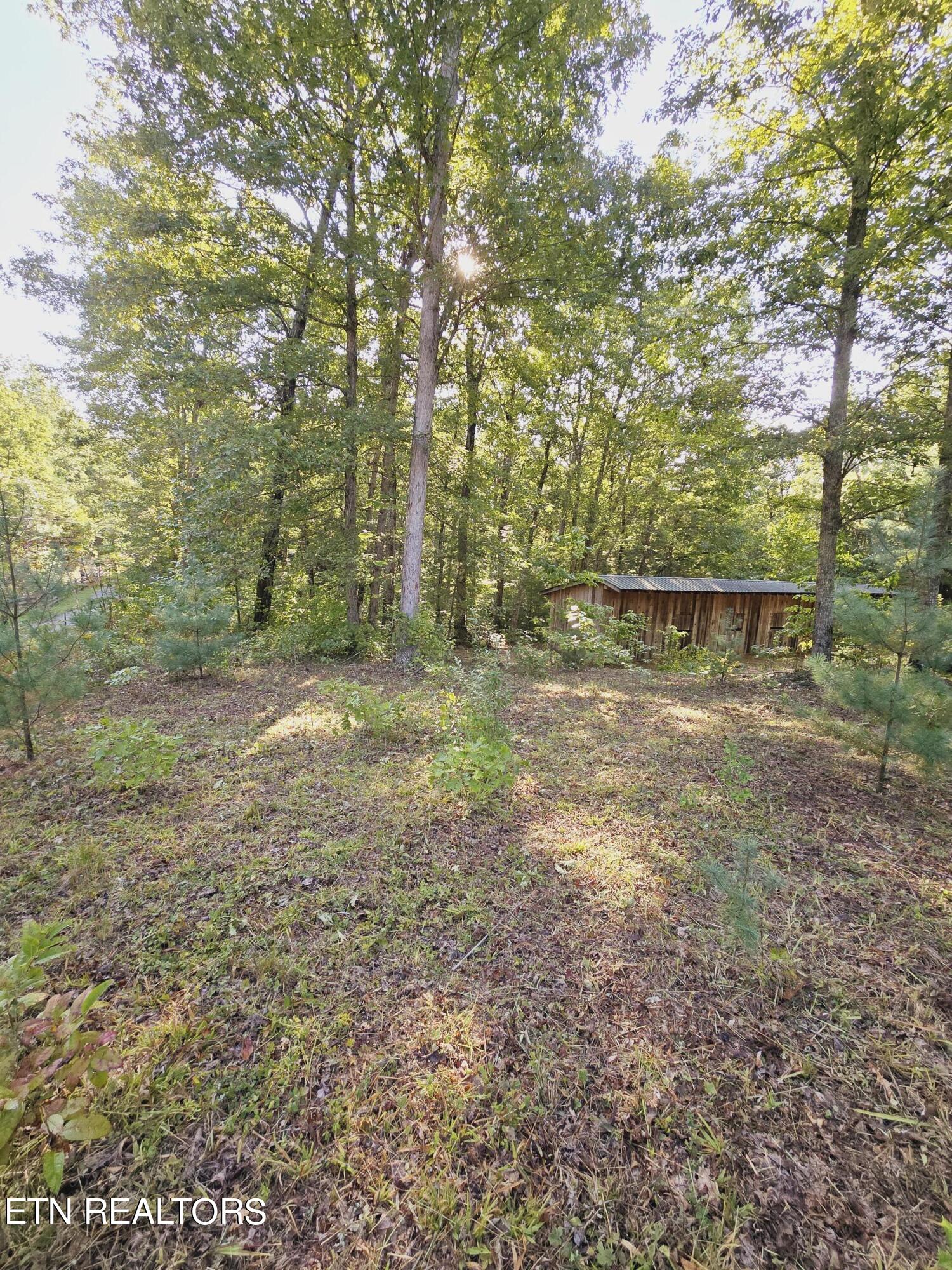 Bear Hollow Trl Road Oneida, TN 37841 - Photo 10 of 29 20240910_093531