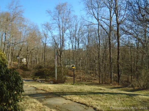 a view of a backyard