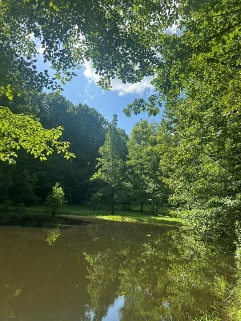 620 Eva Flatwoods Road Eva, TN 38333 - Photo 26 of 40