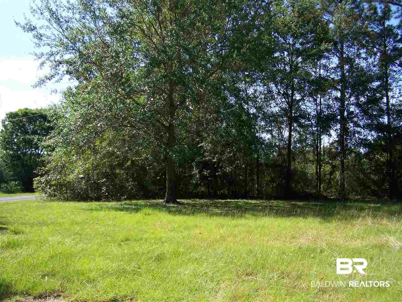 4251 Britton Lige Road Millry, AL 36558 - Photo 20 of 21