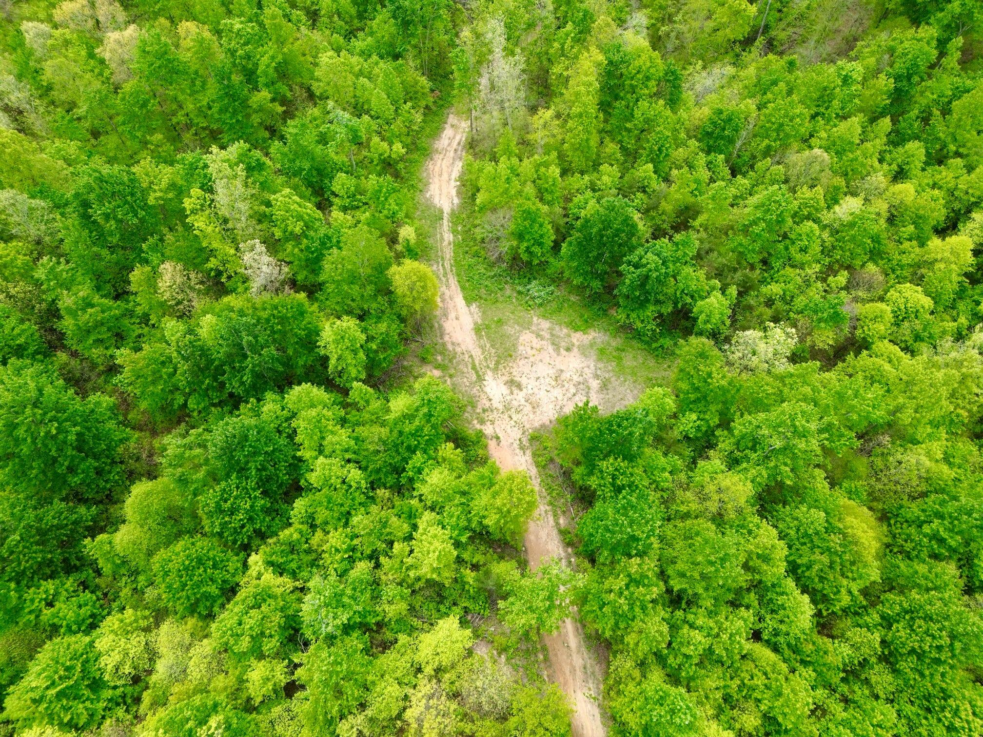 100 A Open Fork Road Morehead, KY 40351 - Photo 54 of 75 Trail
