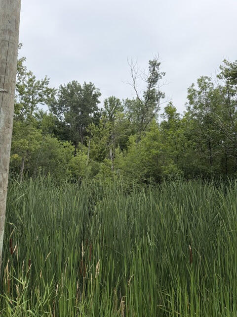 West Linco Road, Unit 3C Stevensville, MI 49127 - Photo 1 of 2 Parcel 3 - Photo 1