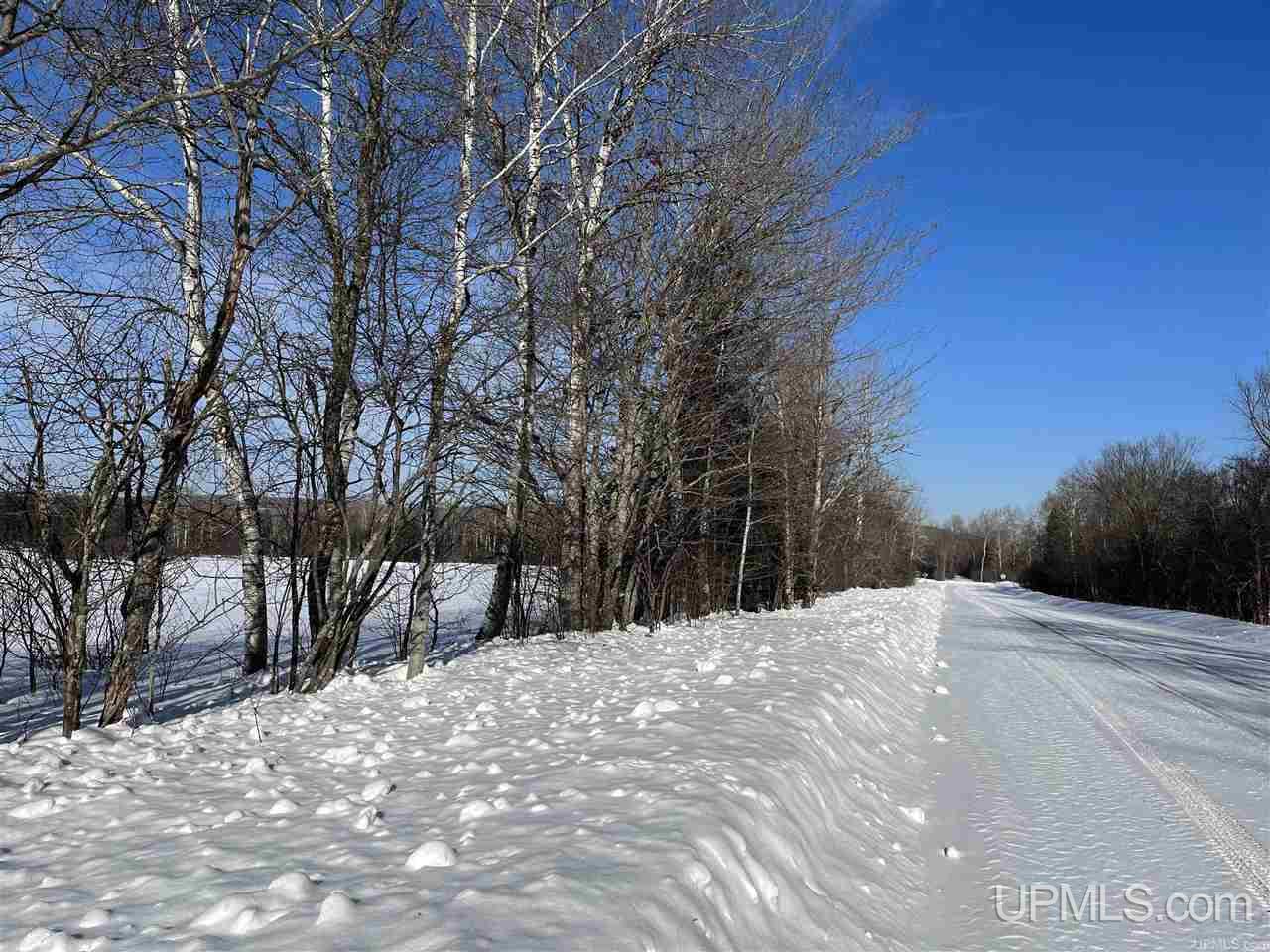 Tbd Harding Road Bessemer, MI 49911 - Photo 6 of 21