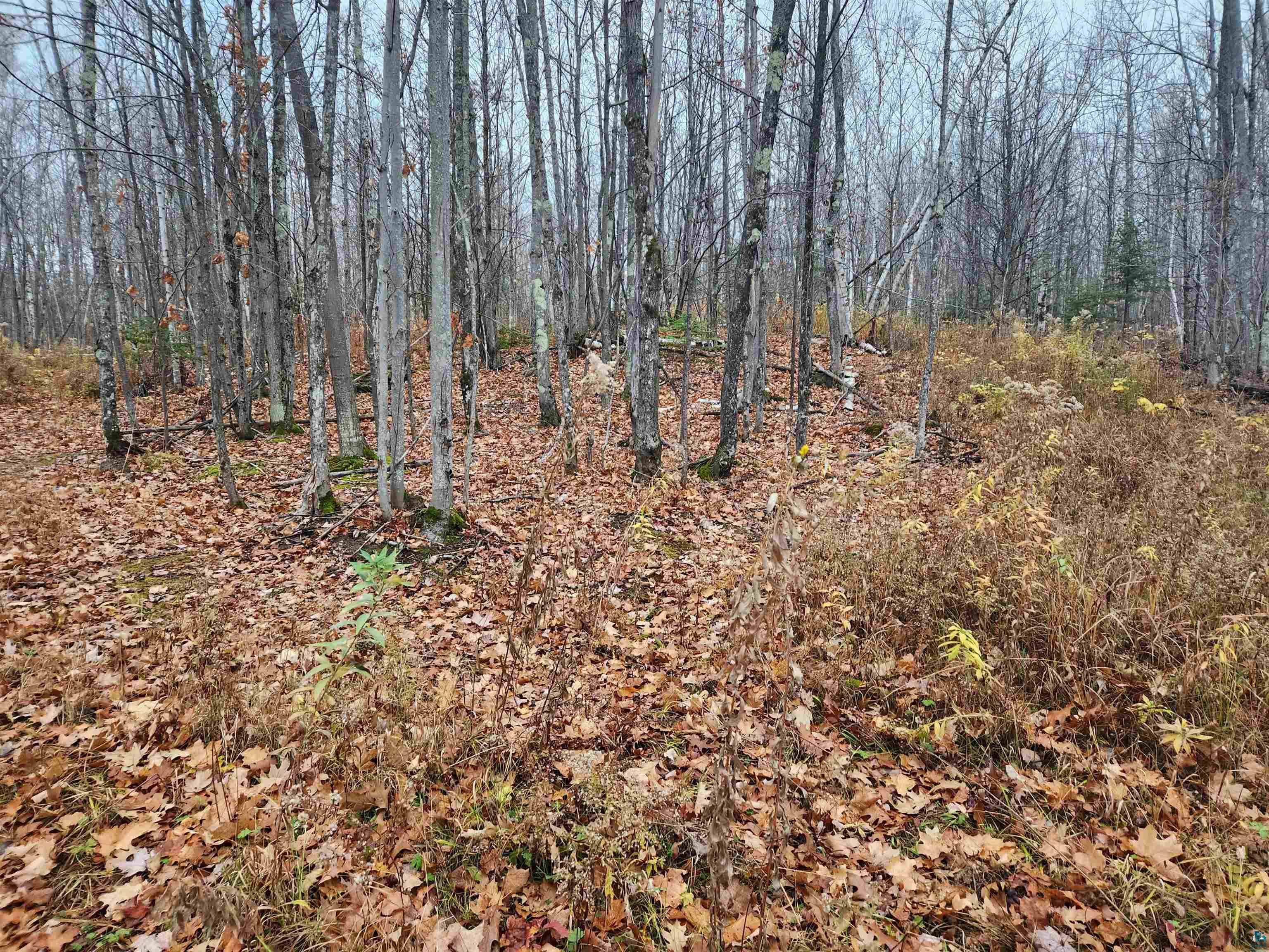 Xxx Little Sand Bay Road Bayfield, WI 54814 - Photo 12 of 23 Gallery Image 12