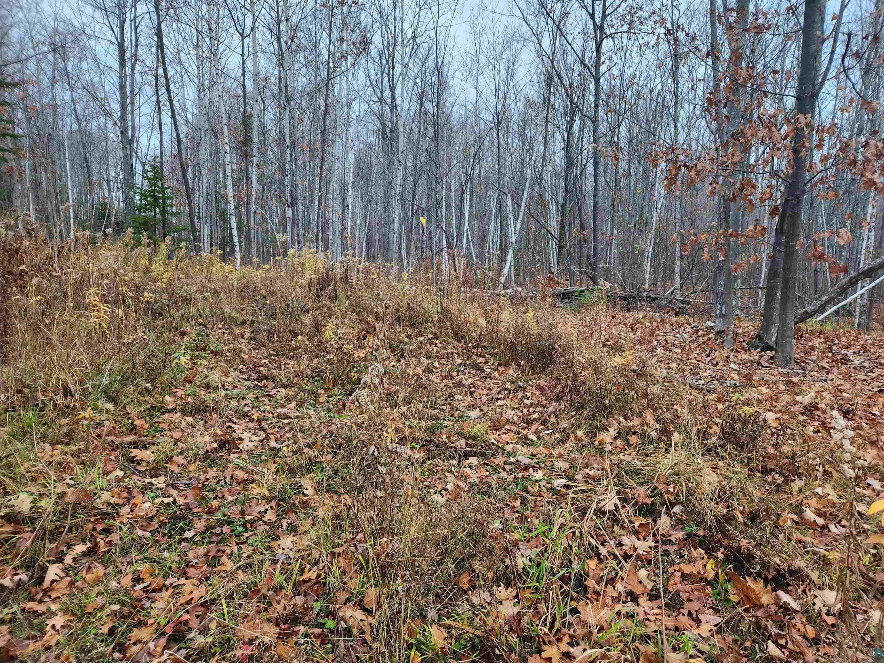 Xxx Little Sand Bay Road Bayfield, WI 54814 - Photo 13 of 23 Gallery Image 13
