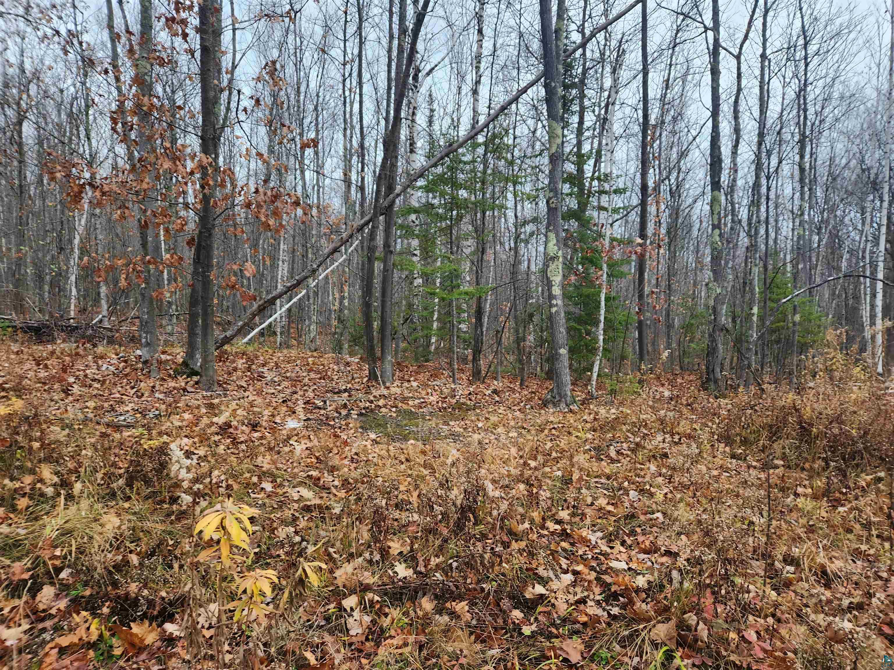 Xxx Little Sand Bay Road Bayfield, WI 54814 - Photo 14 of 23 Gallery Image 14