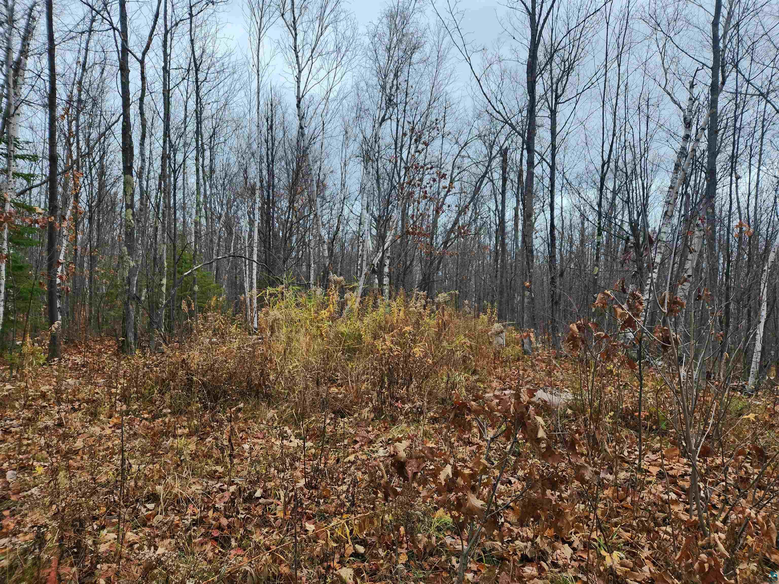 Xxx Little Sand Bay Road Bayfield, WI 54814 - Photo 15 of 23 Gallery Image 15