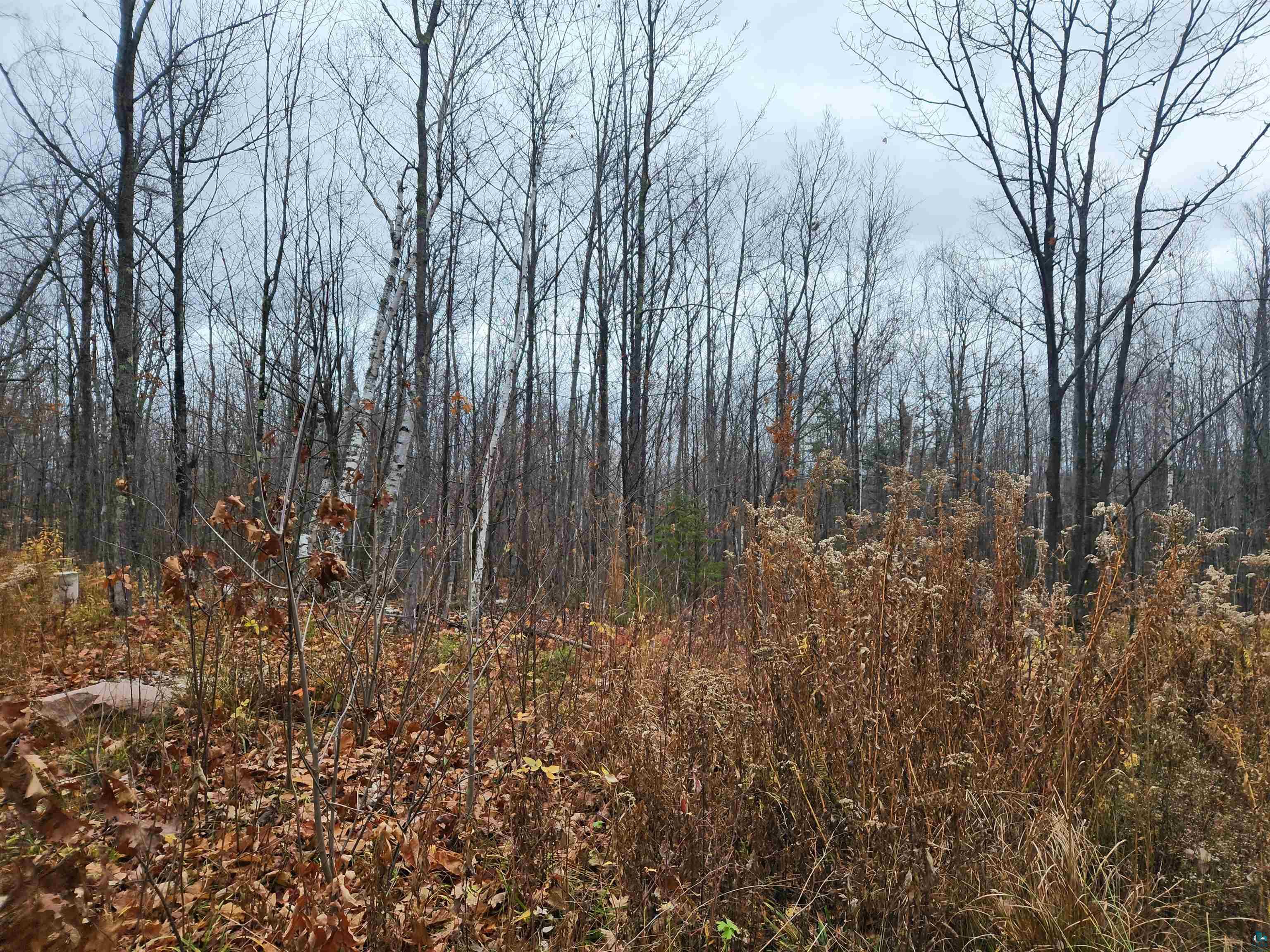 Xxx Little Sand Bay Road Bayfield, WI 54814 - Photo 16 of 23 Gallery Image 16