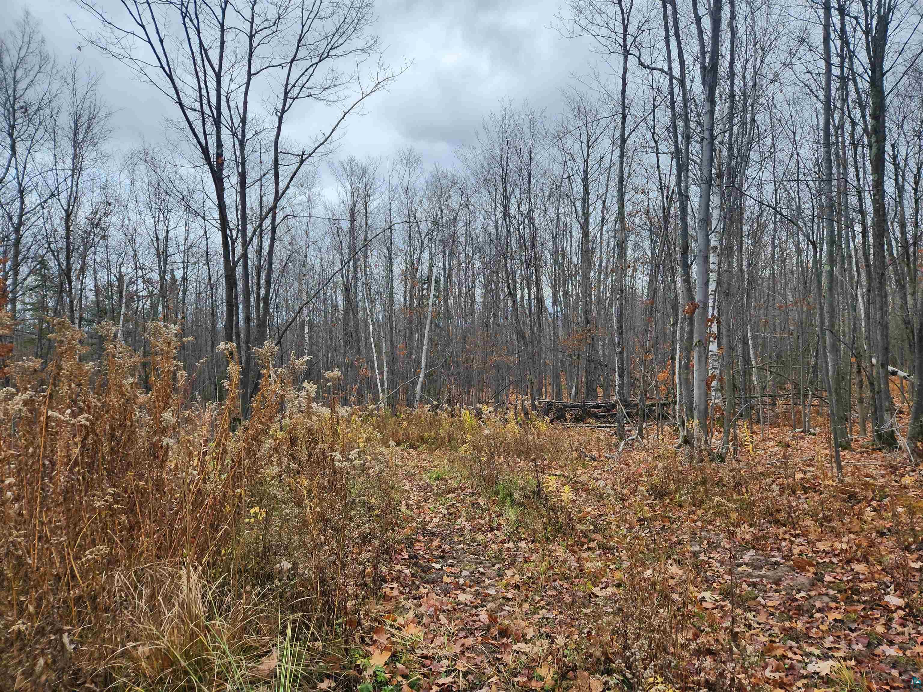Xxx Little Sand Bay Road Bayfield, WI 54814 - Photo 17 of 23 Gallery Image 17