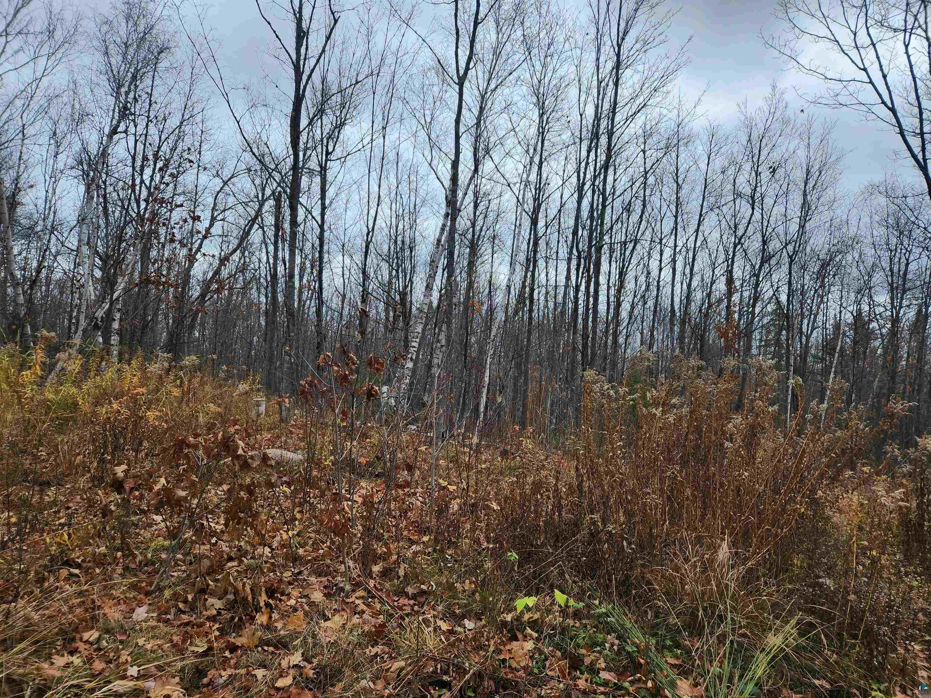Xxx Little Sand Bay Road Bayfield, WI 54814 - Photo 18 of 23 Gallery Image 18